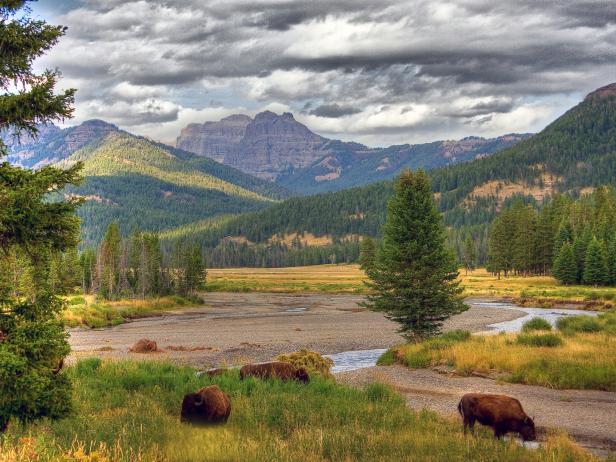 Majestic Mountains, Yellowstone National Park, Wyoming Majestic Mountains, Yellowstone National Park, Wyoming