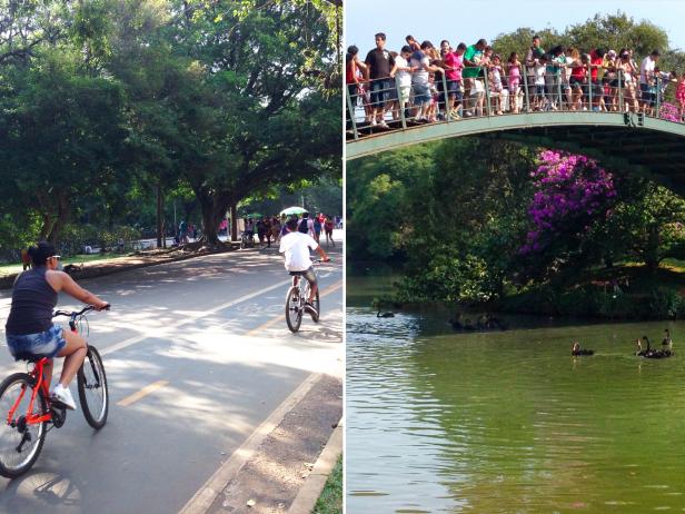 Ibirapuera Park, Sao Paulo, Brazil Ibirapuera Park, Sao Paulo, Brazil