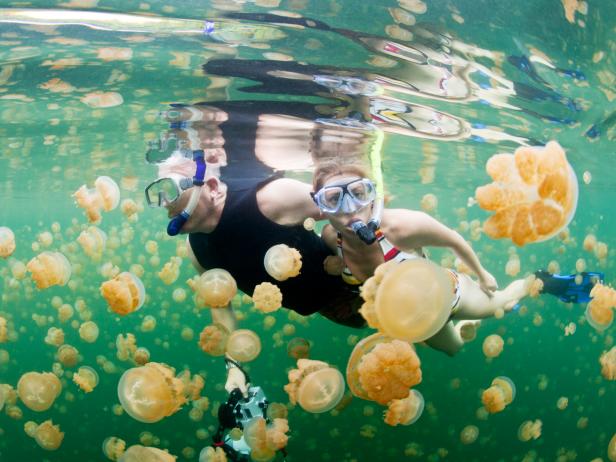 Jellyfish Lake, divers, Palau Jellyfish Lake, divers, Palau