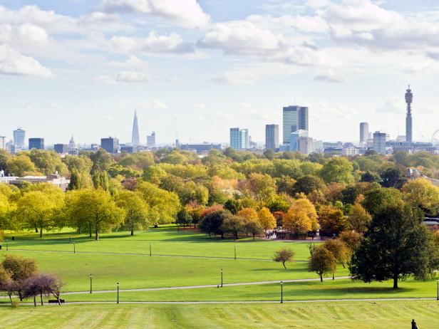 primrose hill, skyline, london primrose hill, skyline, london