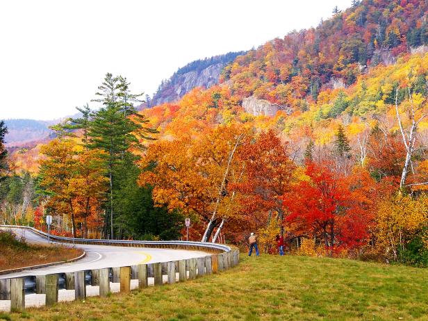 fall foliage along the side of a road in new hampshire