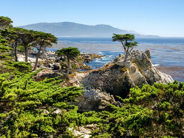 rocks and plants along the shore of a lake with mountains in the background rocks and plants along the shore of a lake with mountains in the background