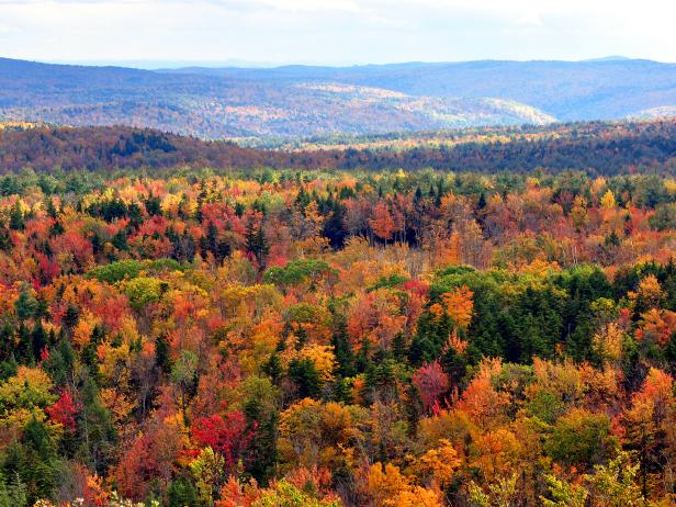 fall, folaige, vermont, hogback mountain, greenery fall, folaige, vermont, hogback mountain, greenery