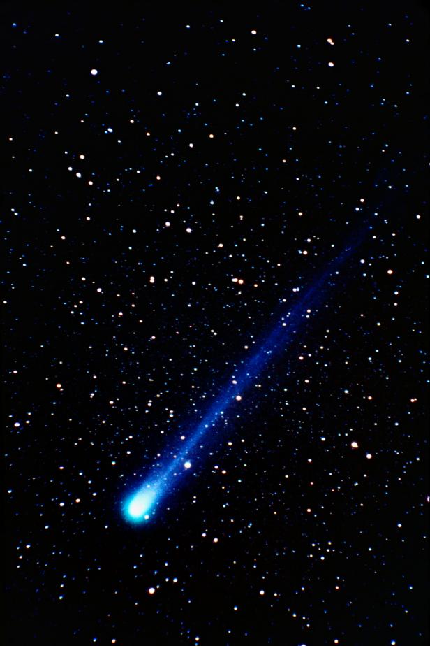 Comet Hyakutake streaks over the Florida Everglades. 