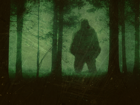 The 8 Best Places to See Bigfoot Right Now