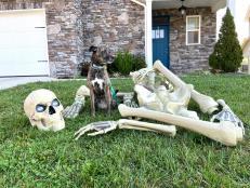 The bones of the 12-foot skeleton next to Scout, Beth's 65 pound pit mix, for scale. 