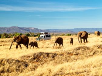 World's Best Travel Tours, hot topics, explore, outdoors and adventure, safari, africa, kenya