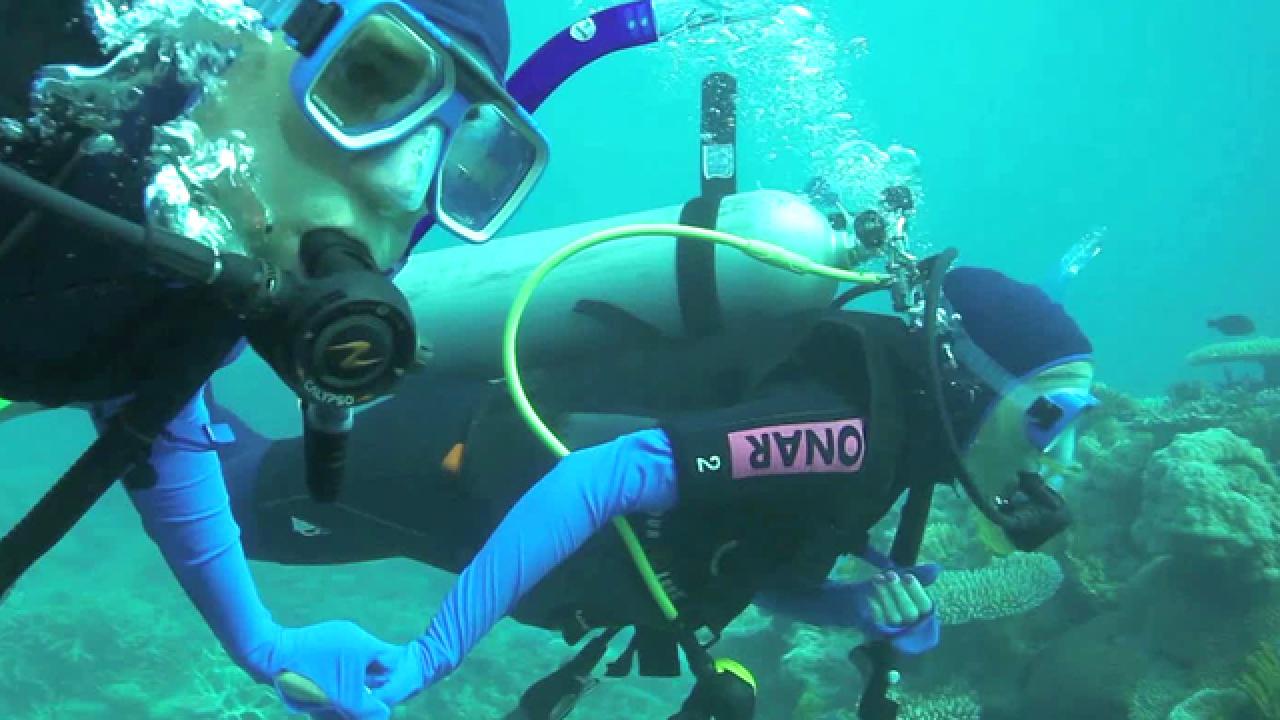 Scuba Diving in Queensland