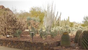 Best of Scottsdale Outdoors