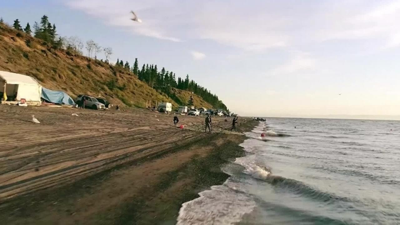 Alaska's Fish Camp