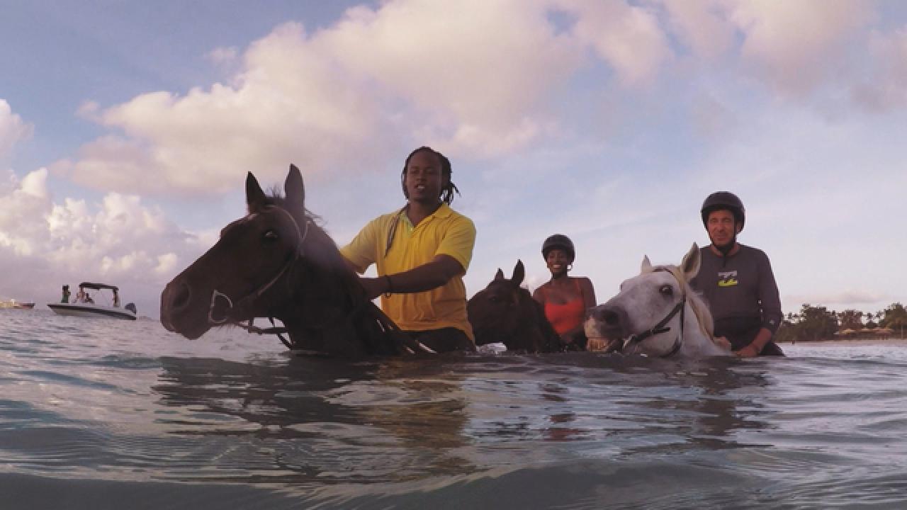 Horseback Riding on Antigua