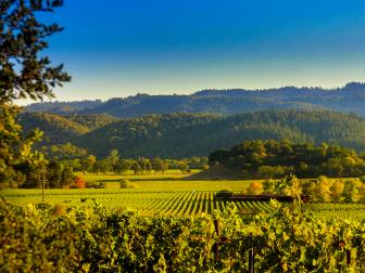 Touring California's Wine Country