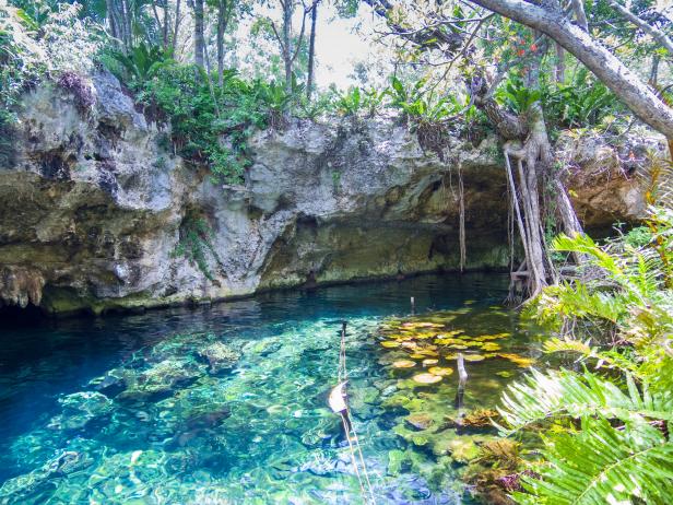 El Gran Cenote, Tulum, Mexico