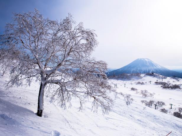 Hokkaido, Japan, skiing, mountain, snowboarding