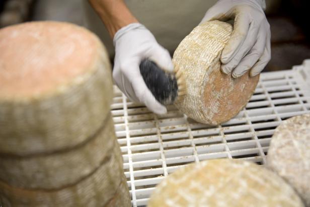 How CT farms and artisans are shaping the cheese-making scene