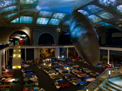 Spend a Night at a Museum