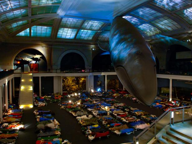 Sleepover, American Museum of Natural History