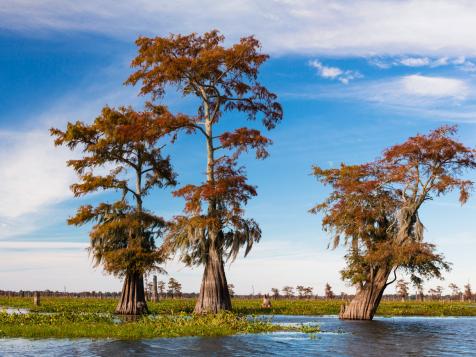 National Parks in Louisiana