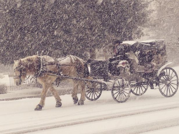Carriage Rides in the Snow in Aspen, Colorado