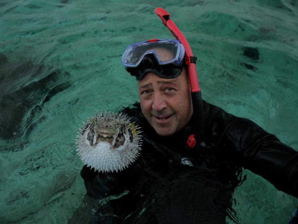 Andrew Zimmern and the Poisonous Pufferfish