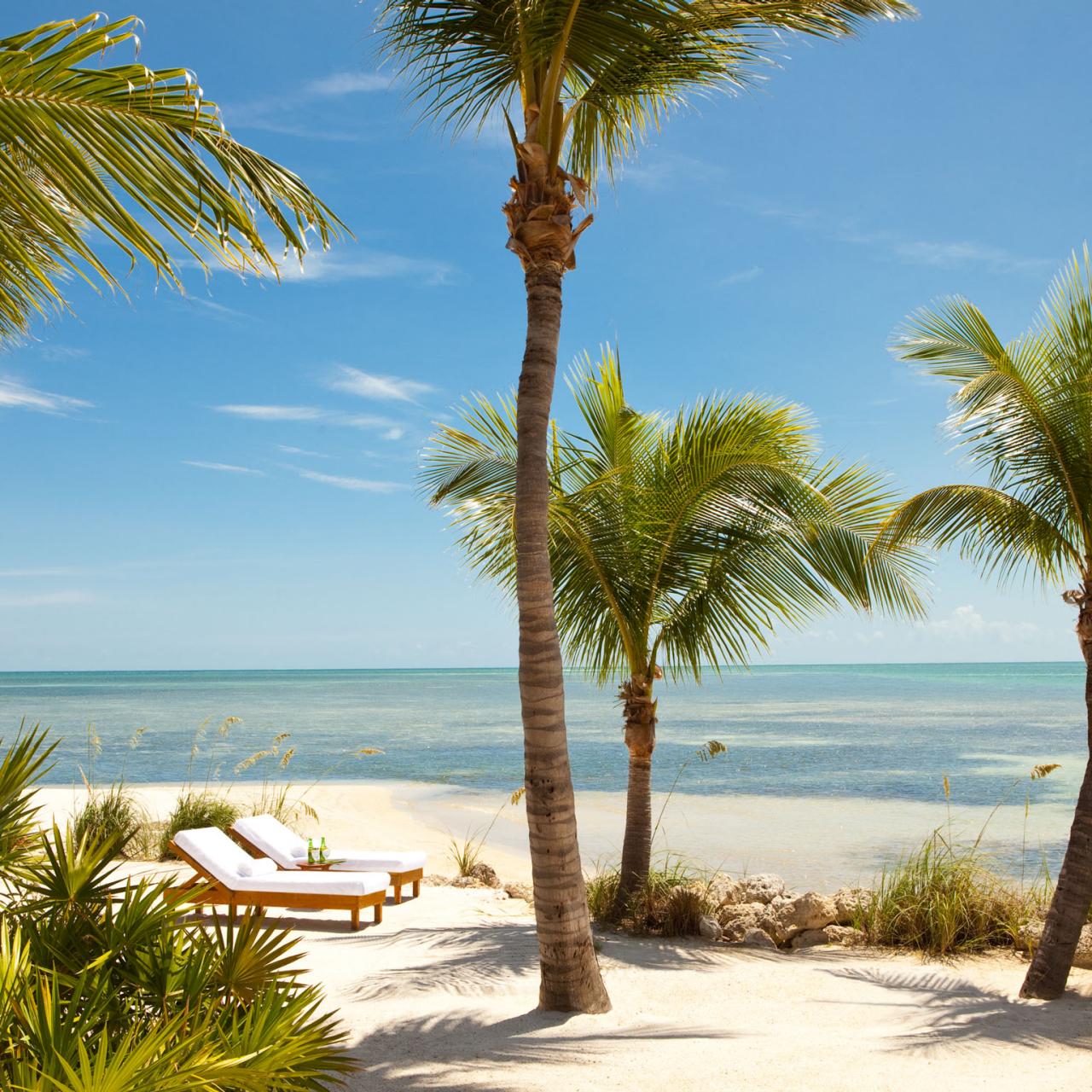 Fishing Rod in White Sand on Tropical Beach, Stock Photo - Image