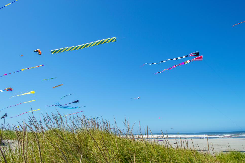 Kite-Flying on Long Beach, Washington