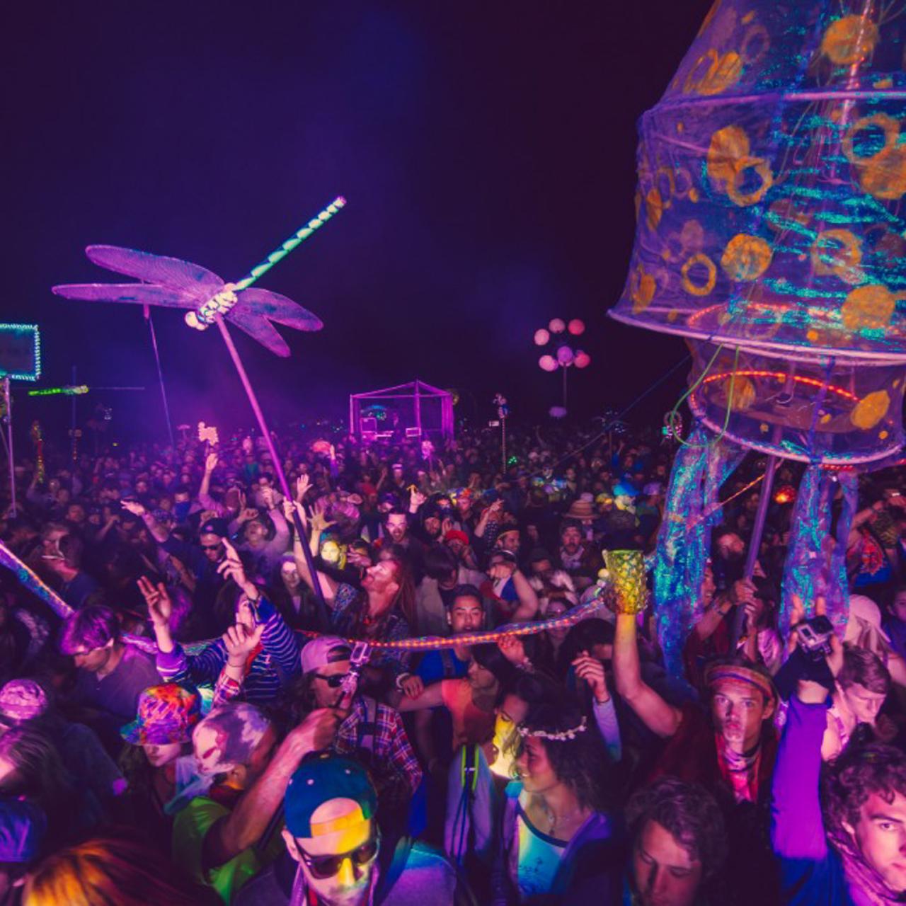 East coast deals music festivals 2016