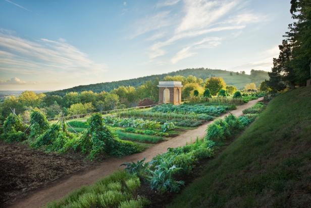 The Vegetable Garden at Monticello