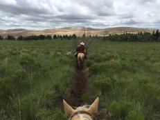 Trail Ride at Zapata Ranch