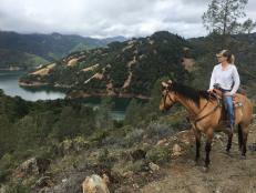 Horseback Riding in California Wine Country