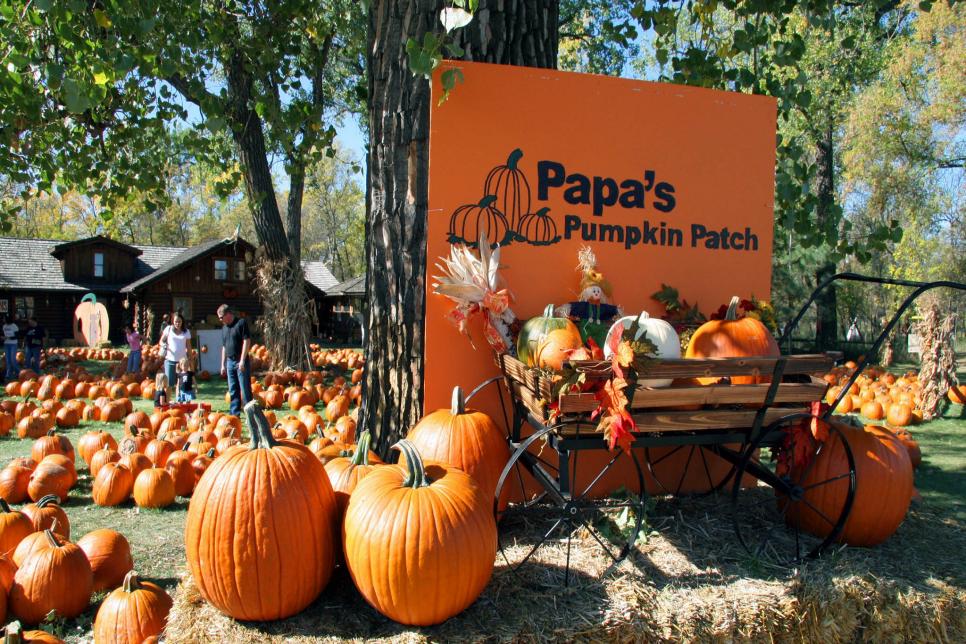 Top 10 U.S. Pumpkin Patches Travel Channel
