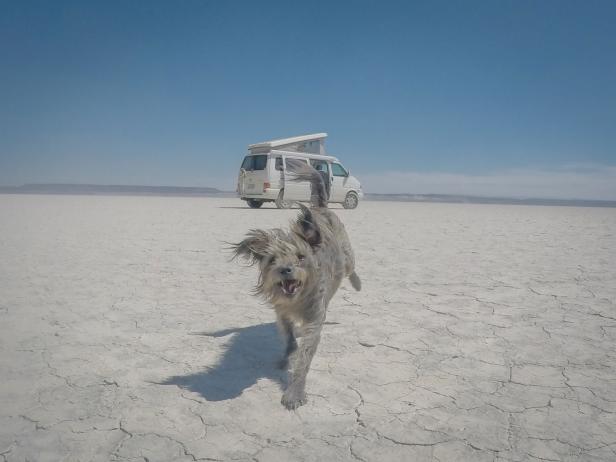 Max Playing In Alvord Desert in Oregon