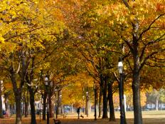 Autumn is the perfect time to head to this New England city.