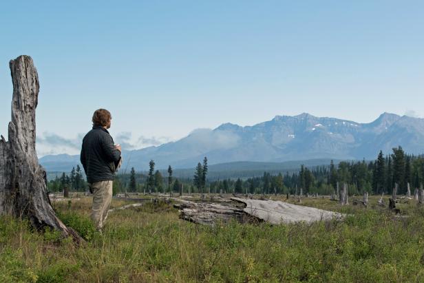 Man Enjoying View in Glacier National Park