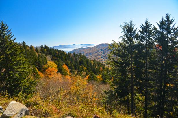 Great Smoky Mountains National Park in Fall
