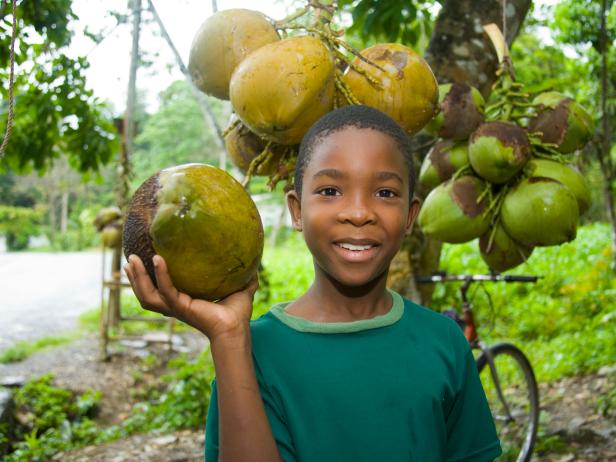 Jamaican fruits