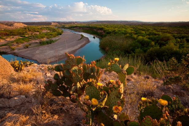 Big Bend National Park is a national park located in the U. S. state of Texas. Big Bend has national significance as the largest protected area of Chihuahuan Desert topography and ecology in the United States, which includes more than 1, 200 species of plants, more than 450 species of birds, 56 species of reptiles, and 75 species of mammals.