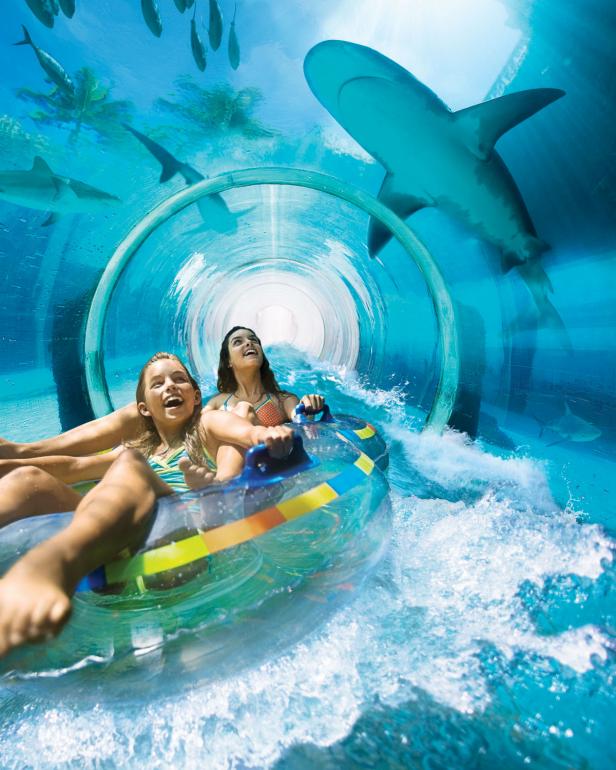 scary water slides