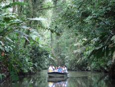 Family trip to Tortuguero National Park in Costa Rica