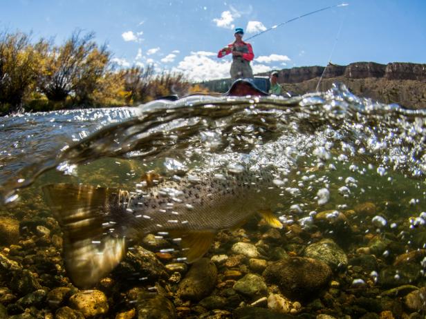 Fly fishing at Madison Valley Ranch