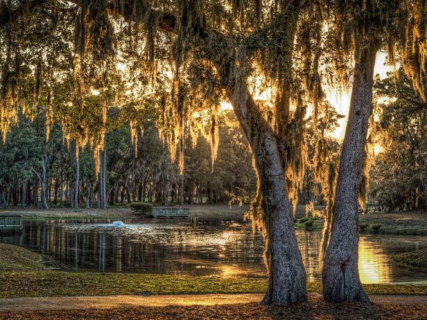 A pond at sunset on Daufuskie Island, South Carolina is surrounded by the familiar sight of live oaks with Spanish moss.