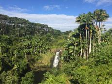 Hawaii Falls