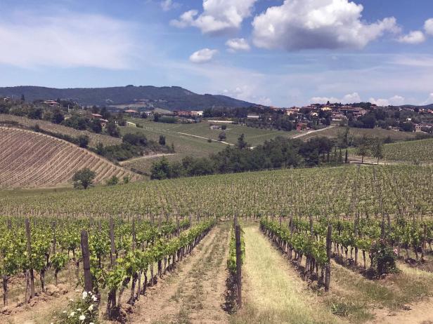 Chianti Wine Tuscany