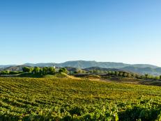 With Los Angeles and San Diego both less than 100 miles away, Temecula's rolling vineyards are a true escape from the hustle and bustle.