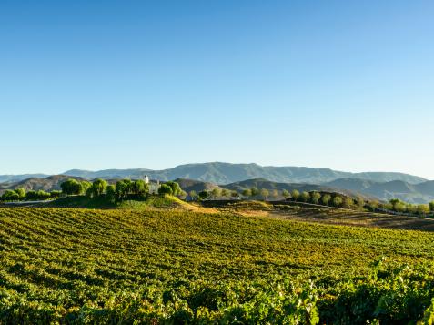 Temecula Valley Wine Country: A Hidden SoCal Gem