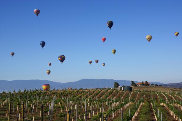 Temecula, California, USA- May 31,2015.Colorful hot air balloons soar over Temecula wine country at the 2015 Temecula Balloon and Wine Festival. The Temecula Balloon and Wine Festival takes place in the spring at Lake Skinner in the Temecula wine country about 2 hours from Los Angeles.