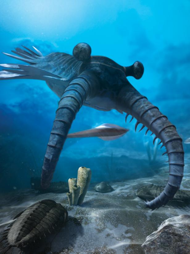 Anomalocaris from David Attenborough’s First Life VR