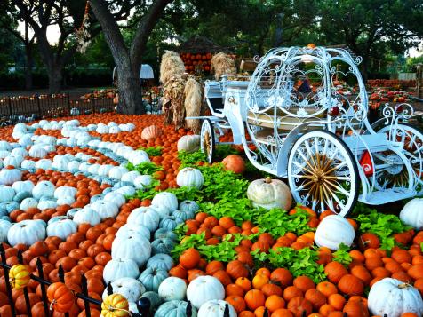 Arboretums and Botanical Gardens That Go All-Out for Halloween