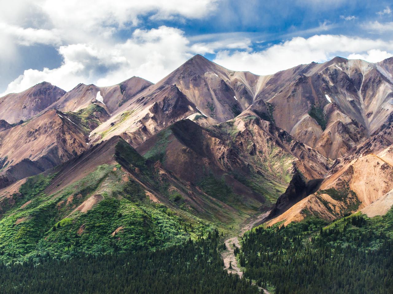 Trails in outlet denali national park