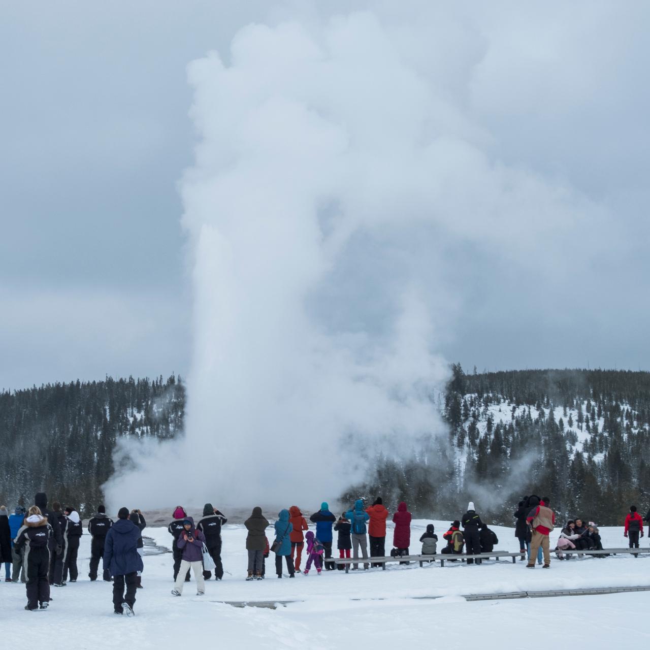 Why You Should Book a Winter Trip to Yellowstone National Park